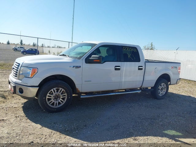 12705435 :رقم المزاد ، 1FTFW1ET6BFD16407 vin ، 2011 Ford F-150 Fx4/king Ranch/lariat/platinum/xlt مزاد بيع