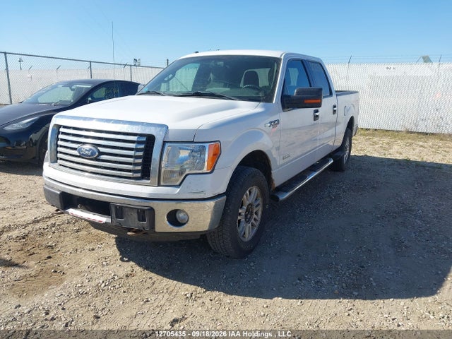 12705435 :رقم المزاد ، 1FTFW1ET6BFD16407 vin ، 2011 Ford F-150 Fx4/king Ranch/lariat/platinum/xlt مزاد بيع