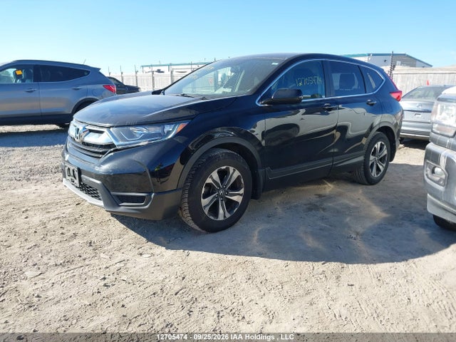 Honda CR-V LX 2017 2HKRW1H36HH000450 Image 2