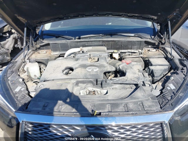 Продаж на аукціоні авто 2019 Infiniti Qx50 Autograph/essential/luxe/proactive/sensory, vin: 3PCAJ5M33KF146948, номер лоту: 12705479