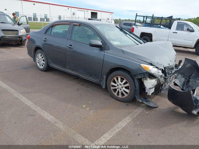 12705587 :رقم المزاد ، 2T1BU4EE4BC735257 vin ، 2011 Toyota Corolla Ce مزاد بيع