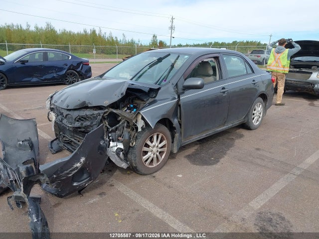 12705587 :رقم المزاد ، 2T1BU4EE4BC735257 vin ، 2011 Toyota Corolla Ce مزاد بيع