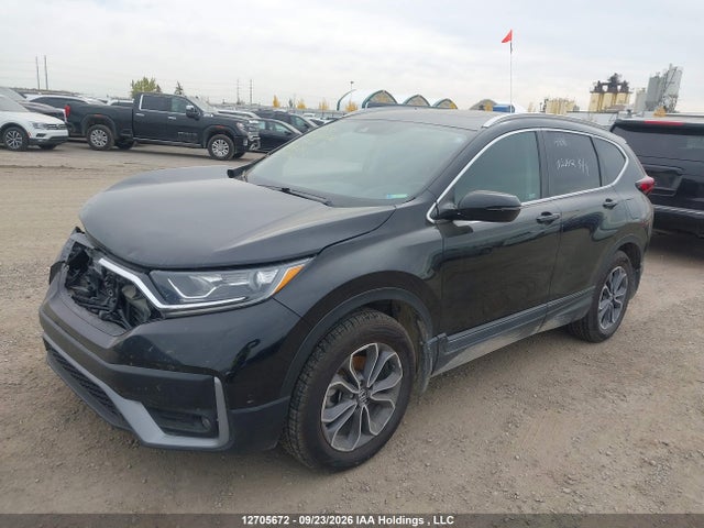 2020 Honda Cr-v Ex-l მანქანა იყიდება აუქციონზე, vin: 2HKRW2H81LH201179, აუქციონის ნომერი: 12705672