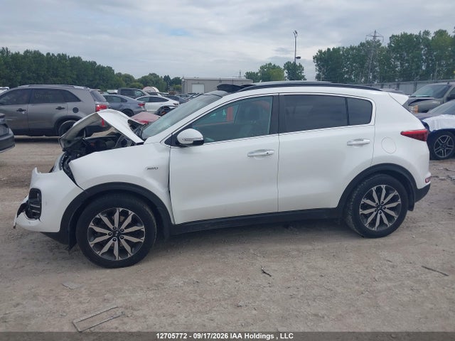Auction sale of the 2018 Kia Sportage Ex/ex Premium/ex Tech, vin: KNDPNCAC7J7365732, lot number: 12705772