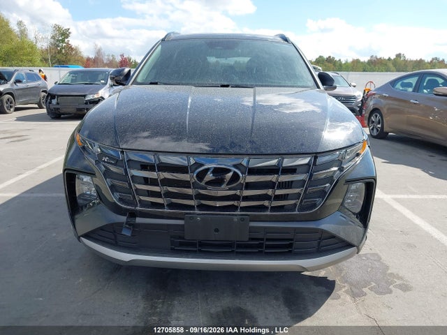 Продаж на аукціоні авто 2024 Hyundai Tucson N-line Awd, vin: KM8JCCD18RU174707, номер лоту: 12705858
