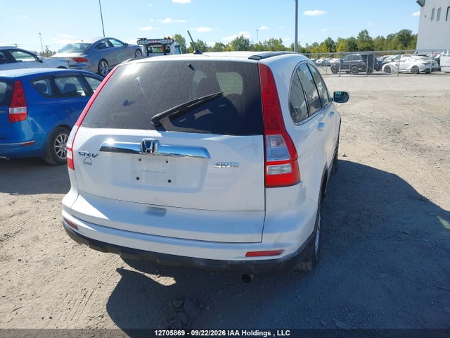 Aukcja sprzedaży 2011 Honda Cr-v, vin: 5J6RE4H52BL811083, numer aukcji: 12705869