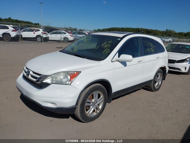 Aukcja sprzedaży 2011 Honda Cr-v, vin: 5J6RE4H52BL811083, numer aukcji: 12705869
