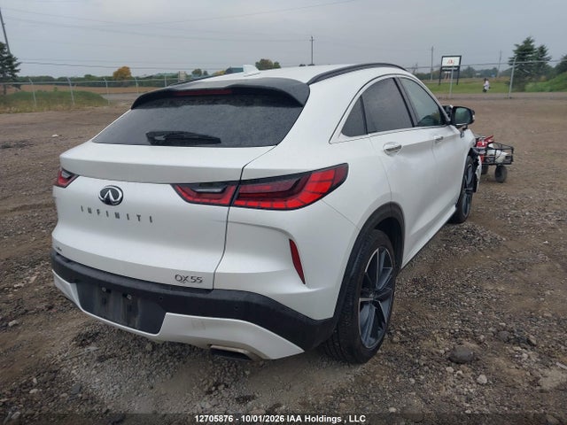 12705876 :رقم المزاد ، 3PCAJ5JR7PF117887 vin ، 2023 Infiniti Qx55 Luxe مزاد بيع