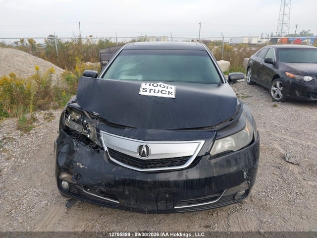 12705889 :رقم المزاد ، 19UUA8F20EA800063 vin ، 2014 Acura Tl مزاد بيع