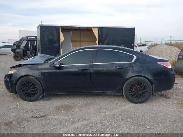 12705889 :رقم المزاد ، 19UUA8F20EA800063 vin ، 2014 Acura Tl مزاد بيع