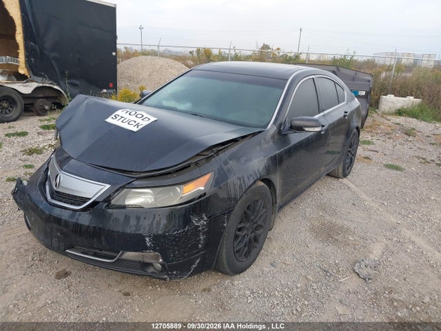 12705889 :رقم المزاد ، 19UUA8F20EA800063 vin ، 2014 Acura Tl مزاد بيع