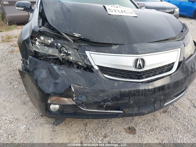 12705889 :رقم المزاد ، 19UUA8F20EA800063 vin ، 2014 Acura Tl مزاد بيع