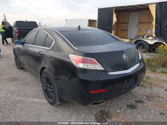 12705889 :رقم المزاد ، 19UUA8F20EA800063 vin ، 2014 Acura Tl مزاد بيع