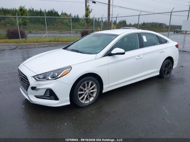 Hyundai SONATA SE 2019 5NPE24AF0KH793851 Image 2