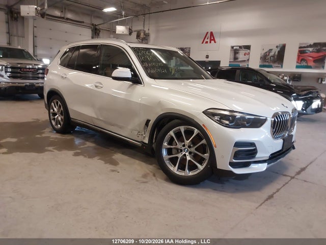 12706209 :رقم المزاد ، 5UXCR6C02P9R09251 vin ، 2023 Bmw X5 Xdrive40i مزاد بيع