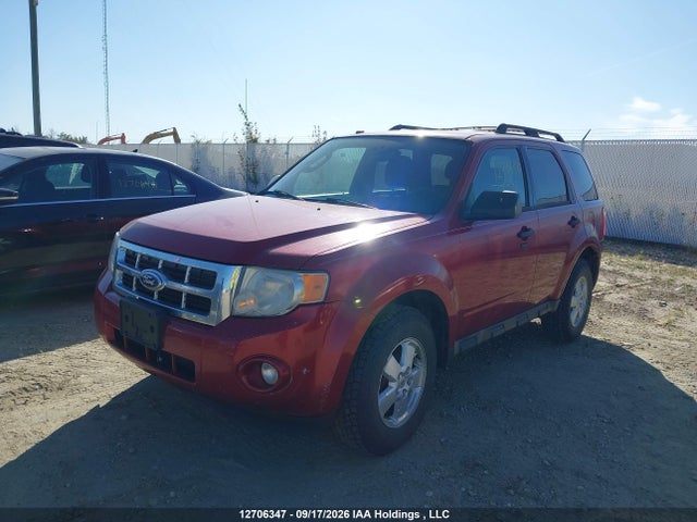 Продаж на аукціоні авто 2010 Ford Escape Xlt, vin: 1FMCU0D70AKC57377, номер лоту: 12706347