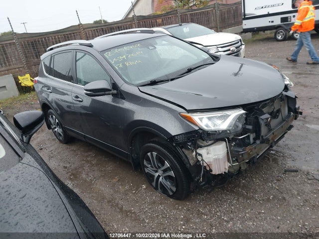 Auction sale of the 2017 Toyota Rav4 Le, vin: 2T3ZFREV5HW342064, lot number: 12706447