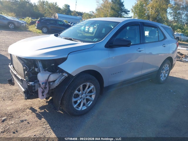 Chevrolet EQUINOX LS 2019 2GNAXSEV4K6140117 Image 2