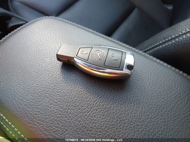 WDDMH4GB7FJ310258 Mercedes-Benz B 250 4matic