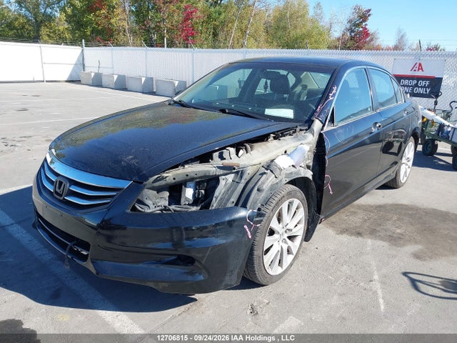 12706815 :رقم المزاد ، 1HGCP3F84CA800856 vin ، 2012 Honda Accord مزاد بيع