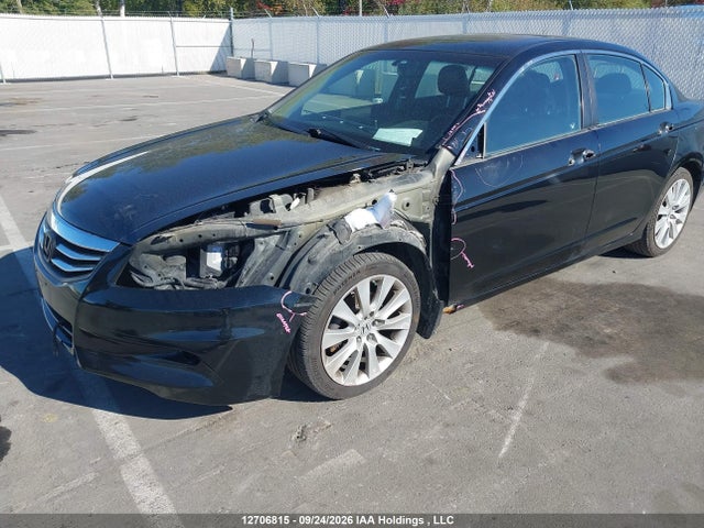 12706815 :رقم المزاد ، 1HGCP3F84CA800856 vin ، 2012 Honda Accord مزاد بيع