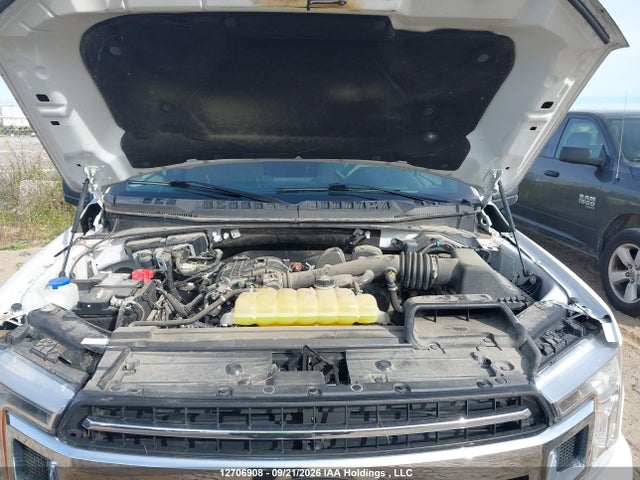 Продажа на аукционе авто 2020 Ford F150, vin: 1FTMF1EB9LKF06967, номер лота: 12706908