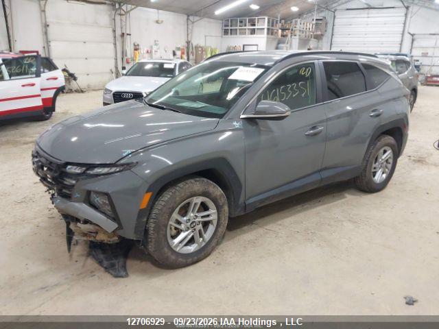5NMJBCDE2SH533024 Hyundai TUCSON SEL