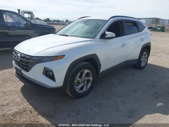 2024 Hyundai Tucson Sel მანქანა იყიდება აუქციონზე, vin: KM8JBCDE8RU334641, აუქციონის ნომერი: 12707033