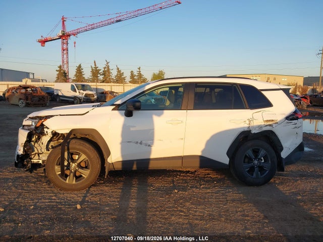 2T36CRAV9TW037564 Toyota RAV4