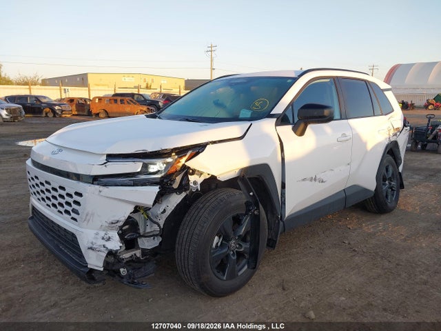 2T36CRAV9TW037564 Toyota RAV4