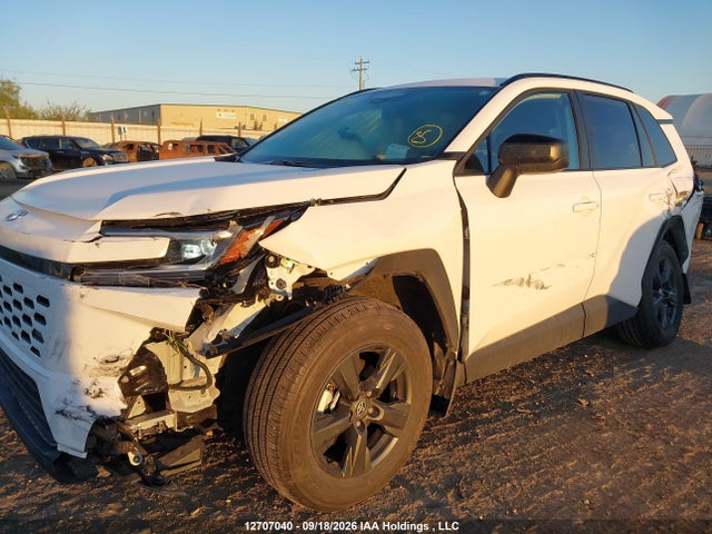 2T36CRAV9TW037564 Toyota RAV4
