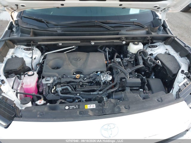2T36CRAV9TW037564 Toyota RAV4