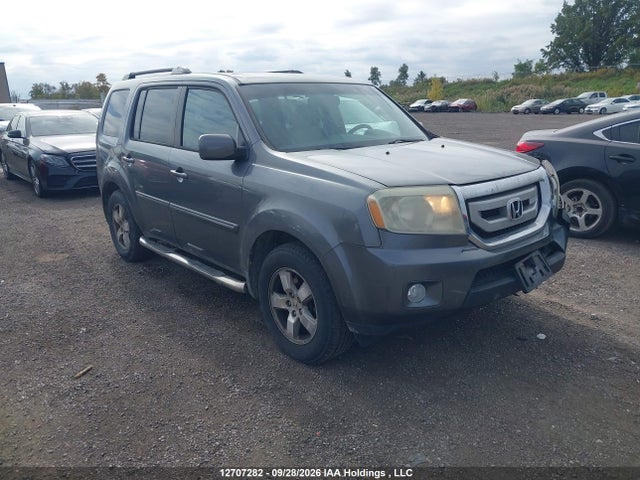 Auction sale of the 2010 Honda Pilot Exl, vin: 5FNYF4H51AB504391, lot number: 12707282