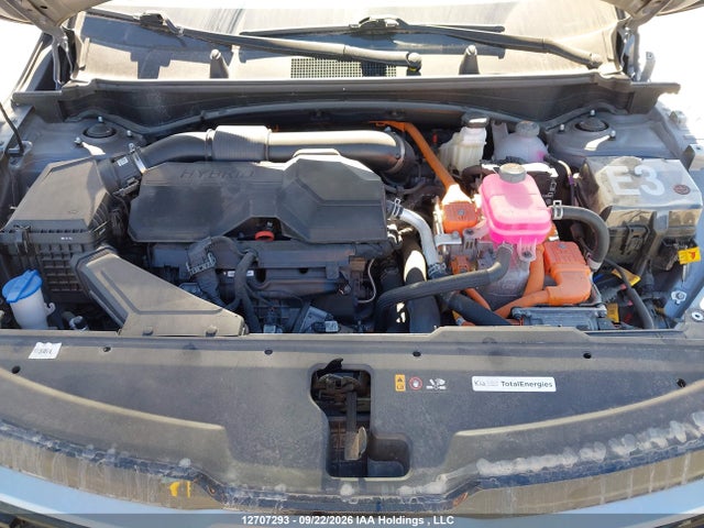 KNDPVDDG2T7329440 KIA SPORTAGE HYBRID