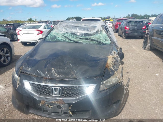 Продаж на аукціоні авто 2010 Honda Accord, vin: 1HGCS1B84AA801396, номер лоту: 12707393