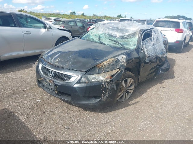 Продаж на аукціоні авто 2010 Honda Accord, vin: 1HGCS1B84AA801396, номер лоту: 12707393