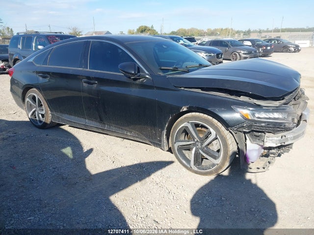 2020 1HGCV2F36LA800135 main image