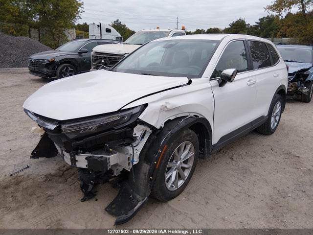 Honda CR-V EXL 2024 2HKRS4H75RH102176 Image 2