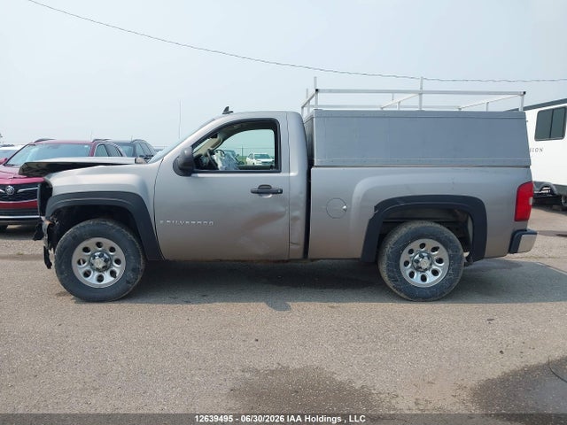 2009 Chevrolet Silverado 1500 Wt მანქანა იყიდება აუქციონზე, vin: 1GCEC14X09Z260577, აუქციონის ნომერი: 12639495