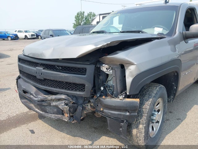 2009 Chevrolet Silverado 1500 Wt მანქანა იყიდება აუქციონზე, vin: 1GCEC14X09Z260577, აუქციონის ნომერი: 12639495