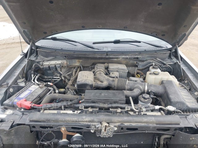 Продаж на аукціоні авто 2010 Ford F-150 Fx4/harley-davidson/lariat/xlt, vin: 1FTFW1EV7AFA53957, номер лоту: 12697659