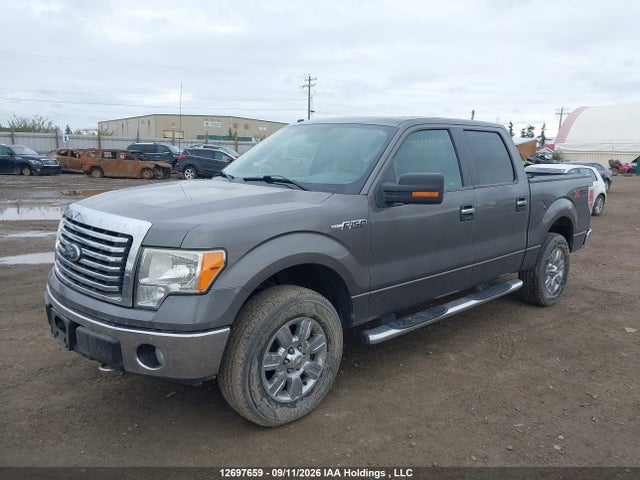 Продаж на аукціоні авто 2010 Ford F-150 Fx4/harley-davidson/lariat/xlt, vin: 1FTFW1EV7AFA53957, номер лоту: 12697659