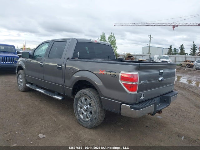 Продаж на аукціоні авто 2010 Ford F-150 Fx4/harley-davidson/lariat/xlt, vin: 1FTFW1EV7AFA53957, номер лоту: 12697659