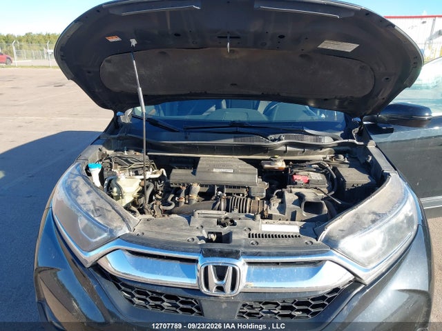 12707789 :رقم المزاد ، 2HKRW2H52KH119059 vin ، 2019 Honda Cr-v Ex مزاد بيع