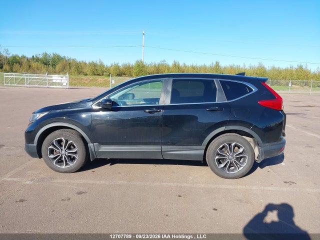 12707789 :رقم المزاد ، 2HKRW2H52KH119059 vin ، 2019 Honda Cr-v Ex مزاد بيع