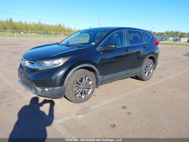 12707789 :رقم المزاد ، 2HKRW2H52KH119059 vin ، 2019 Honda Cr-v Ex مزاد بيع