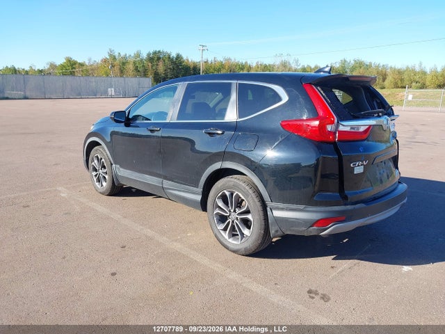 12707789 :رقم المزاد ، 2HKRW2H52KH119059 vin ، 2019 Honda Cr-v Ex مزاد بيع