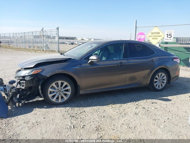 4T1B31HK6JU503632 Toyota CAMRY LE