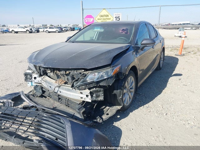 4T1B31HK6JU503632 Toyota CAMRY LE