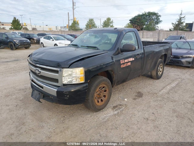 Продаж на аукціоні авто 2011 Chevrolet Silverado 1500 Wt, vin: 1GCNCREX0BZ435073, номер лоту: 12707844